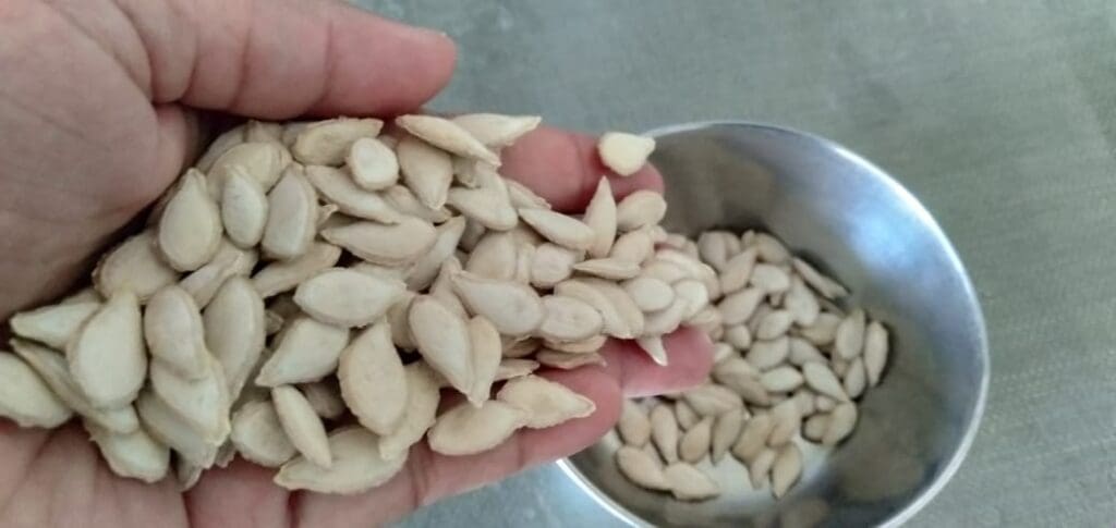 Hand sowing dried seeds into bowl for home gardening