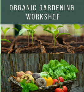 Organic Gardening Workshop