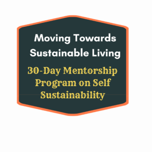 30-Day Program Towards Sustainable Living