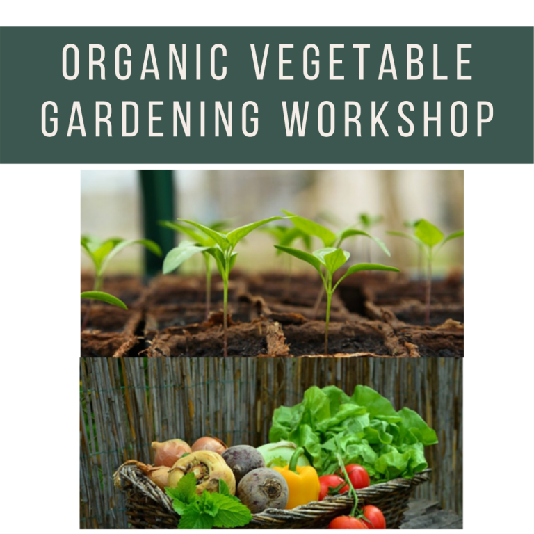 Online Organic Gardening Classes for Beginners