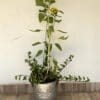 Sunflower Bucket Planter - Image 2