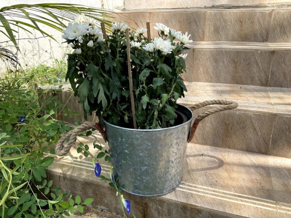 Zinnia Bucket Planter - Image 2