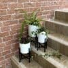 Aspen White planters (Set of 3)