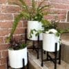Aspen White planters (Set of 3) - Image 3