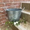 Hollyhock Bucket Planter