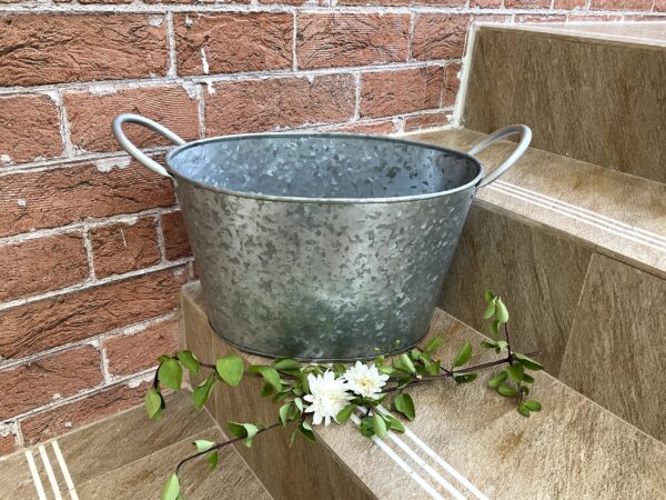 Tulip Bucket Planter