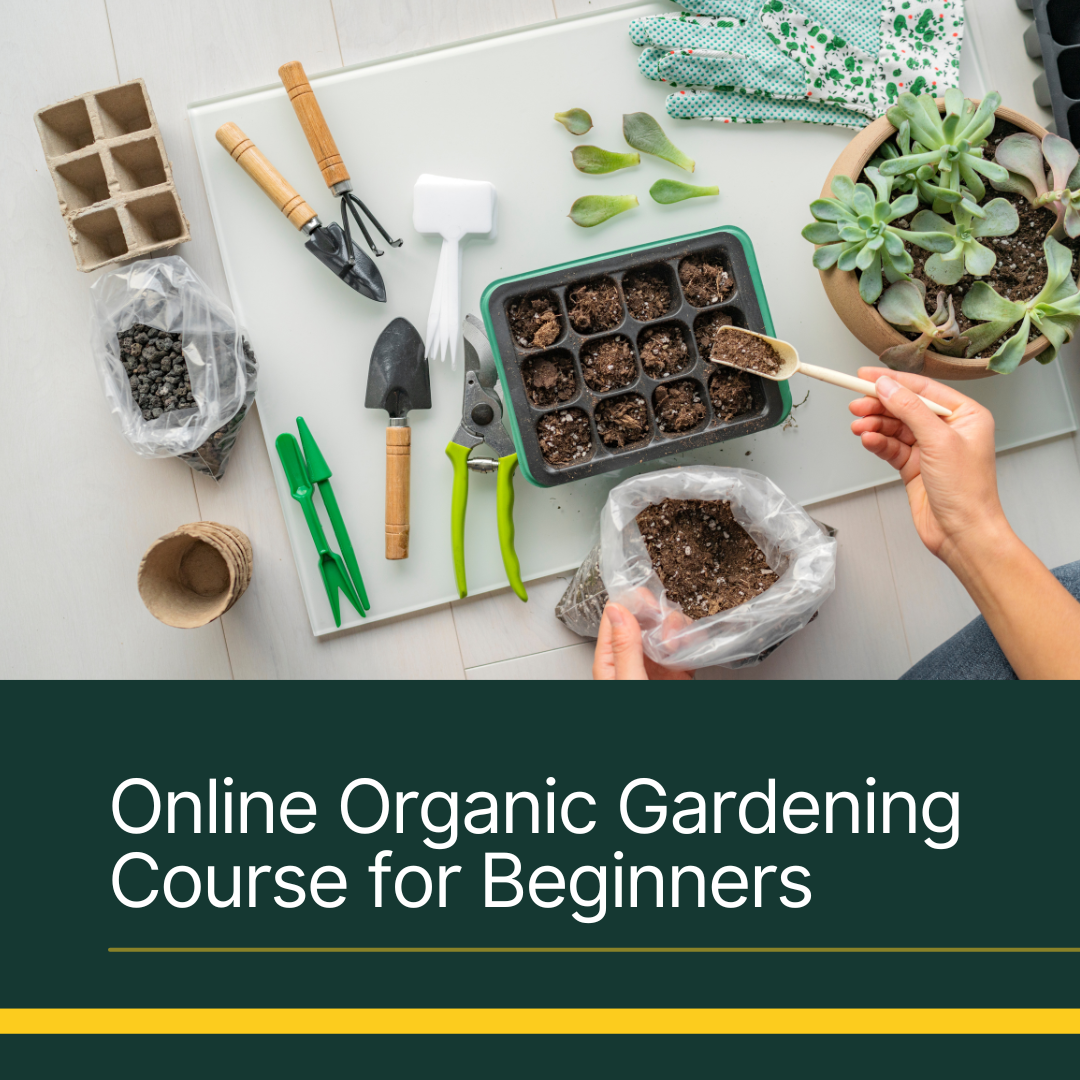 Online Organic Gardening Course for Beginners