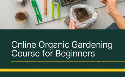 Online Organic Gardening Course for Beginners