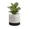 Snow White Jute Planter